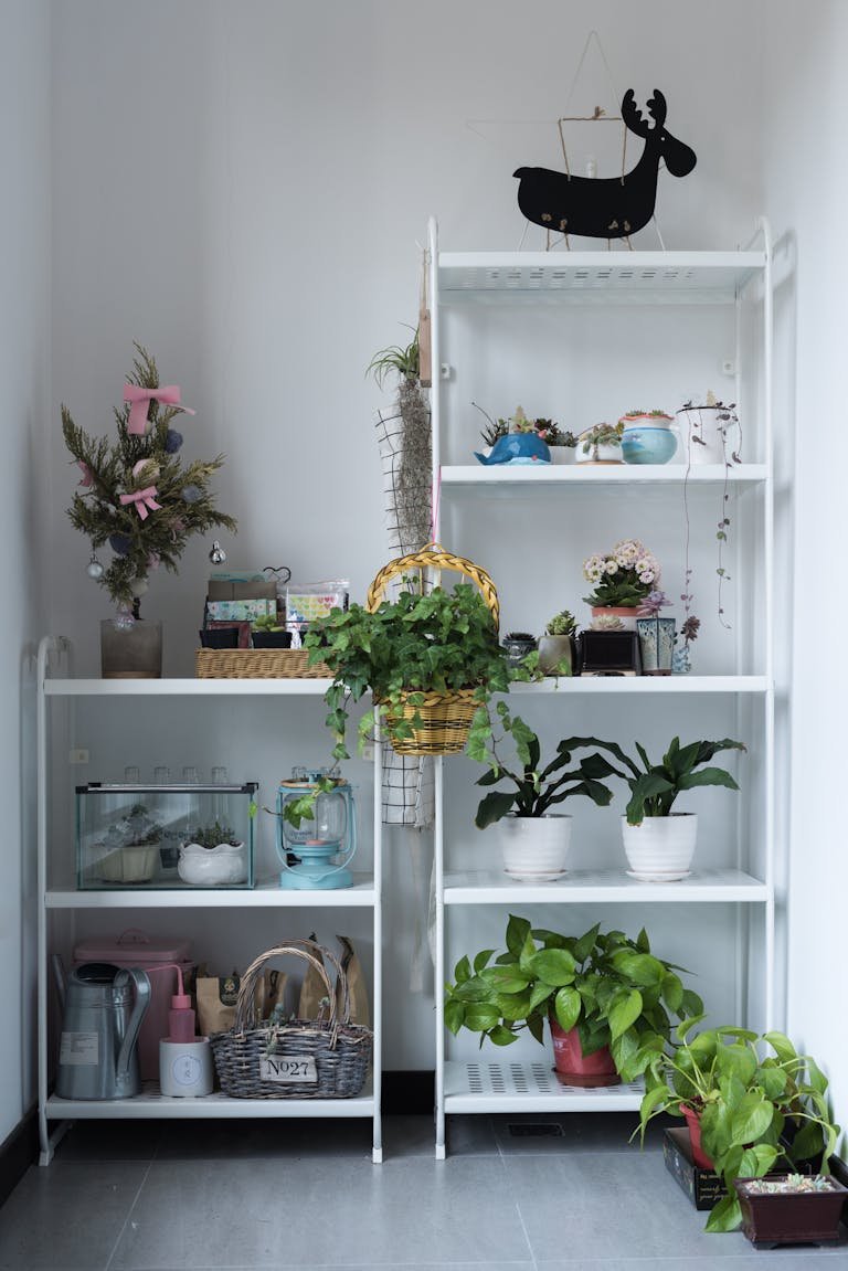 A stylish indoor shelf with various plants and decor items, showcasing a modern home interior design.